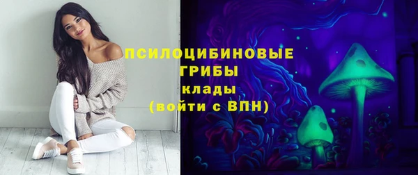 гашик Армянск