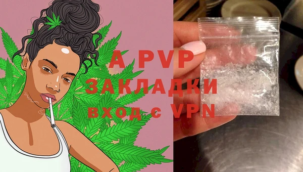 MESCALINE Аркадак