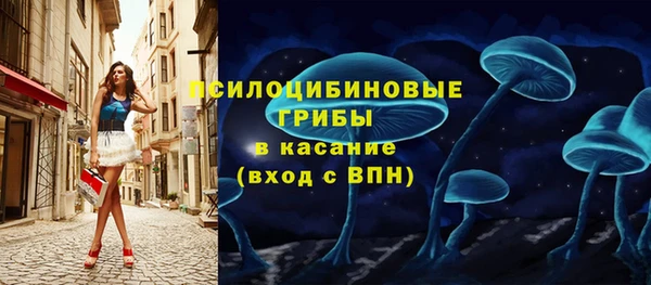 MESCALINE Аркадак